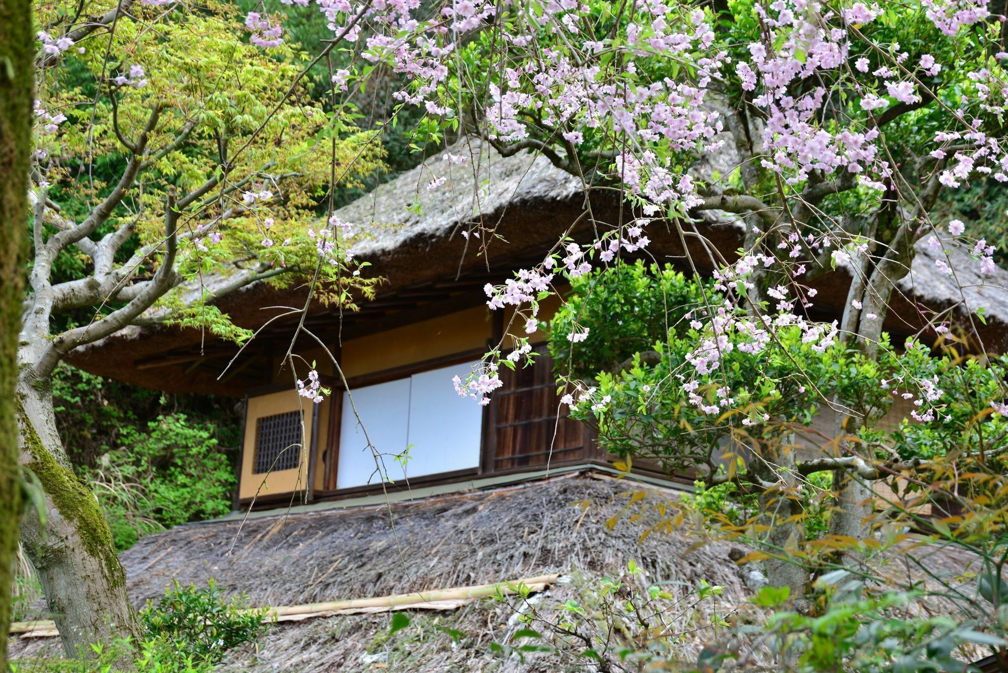 Hotel Kona Besso Izunokuni Exterior foto